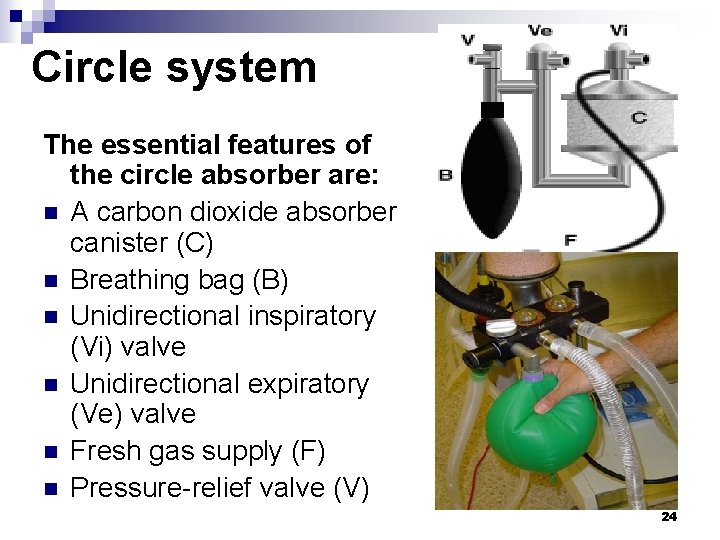 Circle system The essential features of the circle absorber are: n A carbon dioxide