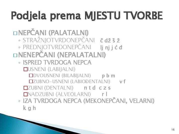 Podjela prema MJESTU TVORBE � NEPČANI (PALATALNI) ◦ STRAŽNJOTVRDONEPČANI č dž š ž ◦