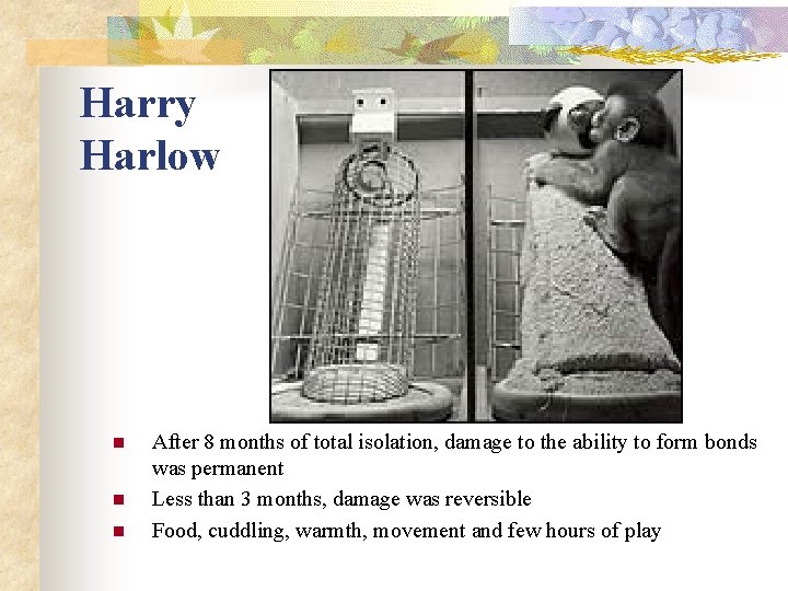 Harry Harlow n n n After 8 months of total isolation, damage to the