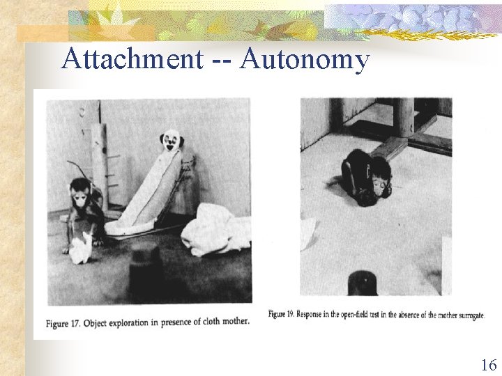  Attachment -- Autonomy 16 