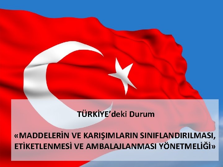  TÜRKİYE’deki Durum «MADDELERİN VE KARIŞIMLARIN SINIFLANDIRILMASI, ETİKETLENMESİ VE AMBALAJLANMASI YÖNETMELİĞİ» İMMİB REACH CLP