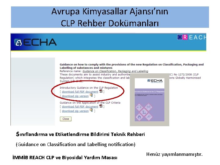 Avrupa Kimyasallar Ajansı’nın CLP Rehber Dokümanları Sınıflandırma ve Etiketlendirme Bildirimi Teknik Rehberi (Guidance on