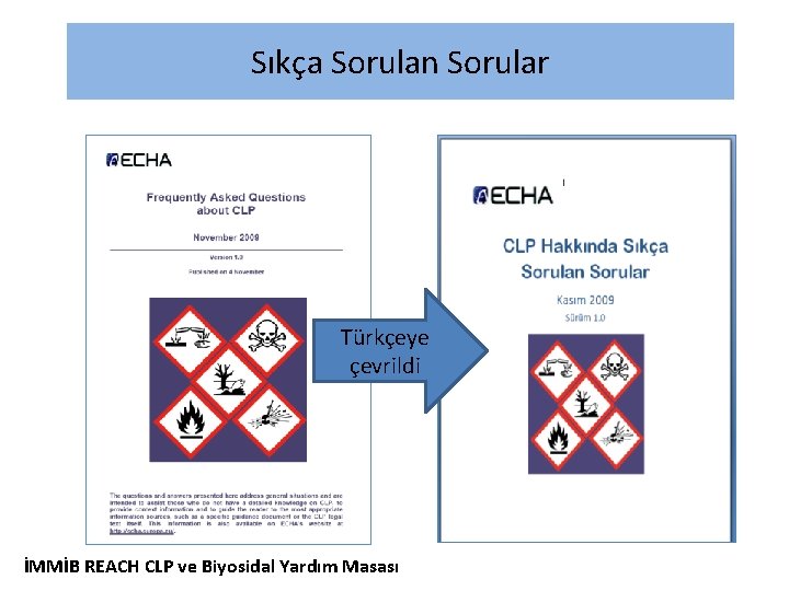 Sıkça Sorulan Sorular Türkçeye çevrildi İMMİB REACH CLP ve Biyosidal Yardım Masası 