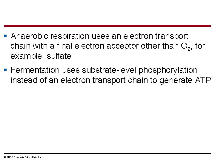 § Anaerobic respiration uses an electron transport chain with a final electron acceptor other