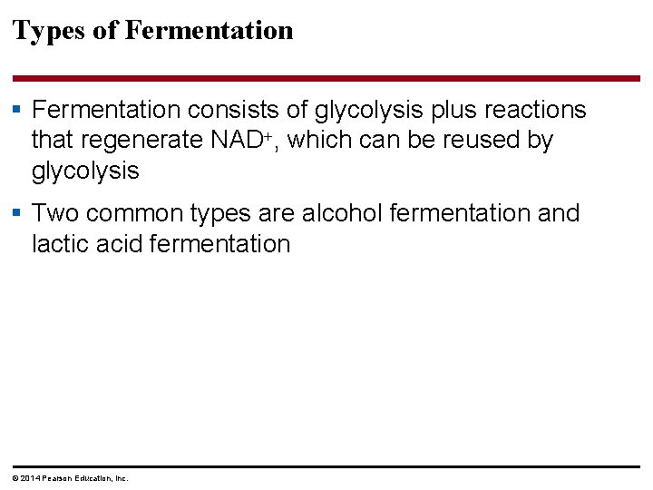 Types of Fermentation § Fermentation consists of glycolysis plus reactions that regenerate NAD ,