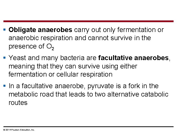 § Obligate anaerobes carry out only fermentation or anaerobic respiration and cannot survive in