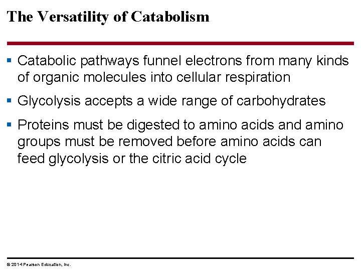 The Versatility of Catabolism § Catabolic pathways funnel electrons from many kinds of organic