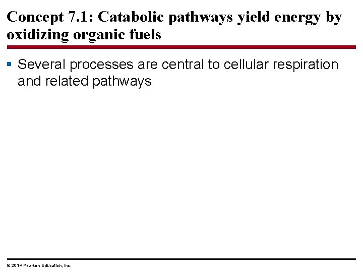 Concept 7. 1: Catabolic pathways yield energy by oxidizing organic fuels § Several processes