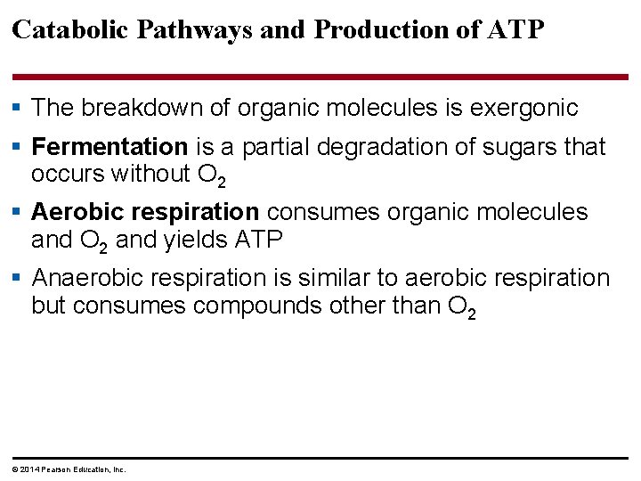 Catabolic Pathways and Production of ATP § The breakdown of organic molecules is exergonic