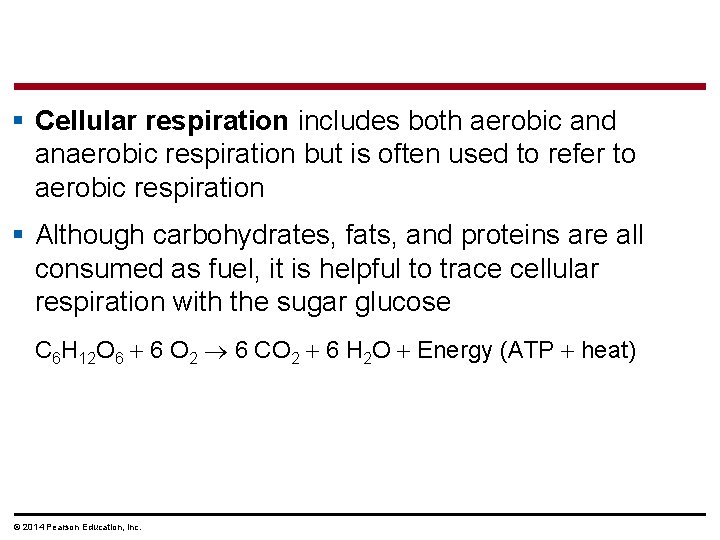 § Cellular respiration includes both aerobic and anaerobic respiration but is often used to