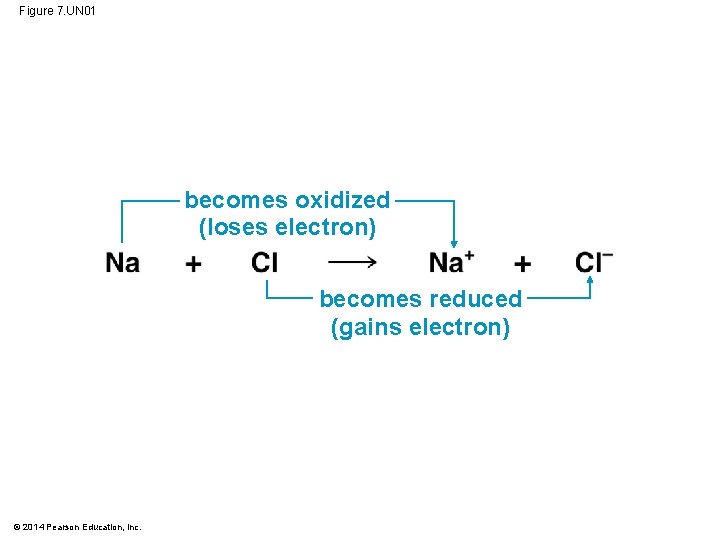 Figure 7. UN 01 becomes oxidized (loses electron) becomes reduced (gains electron) © 2014