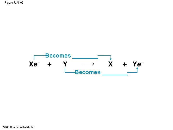 Figure 7. UN 02 Becomes ________ © 2014 Pearson Education, Inc. 