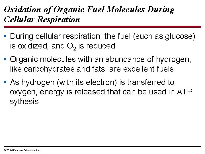 Oxidation of Organic Fuel Molecules During Cellular Respiration § During cellular respiration, the fuel