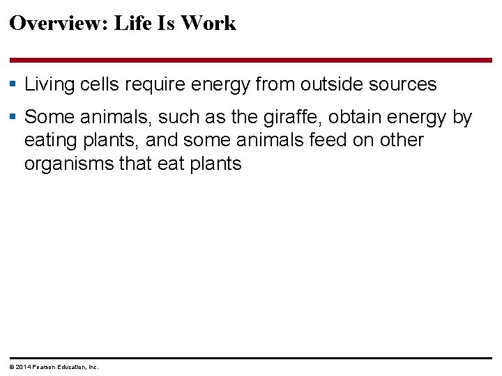 Overview: Life Is Work § Living cells require energy from outside sources § Some