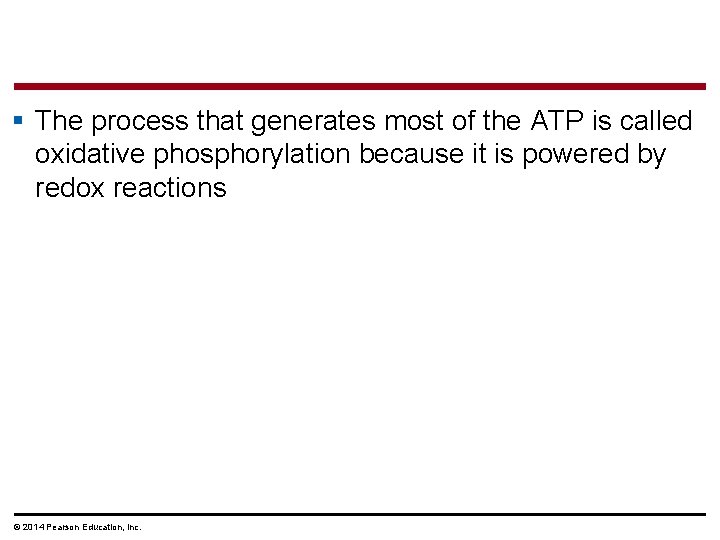 § The process that generates most of the ATP is called oxidative phosphorylation because