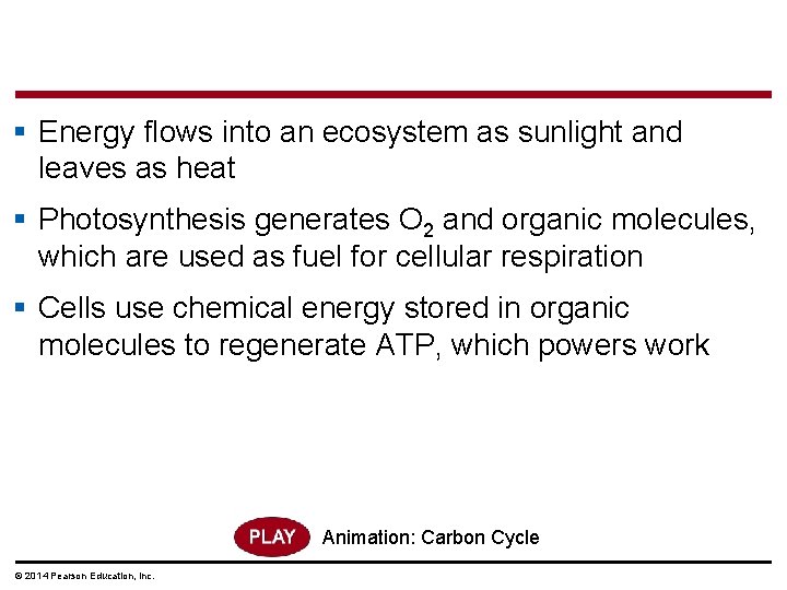 § Energy flows into an ecosystem as sunlight and leaves as heat § Photosynthesis