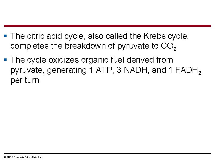 § The citric acid cycle, also called the Krebs cycle, completes the breakdown of