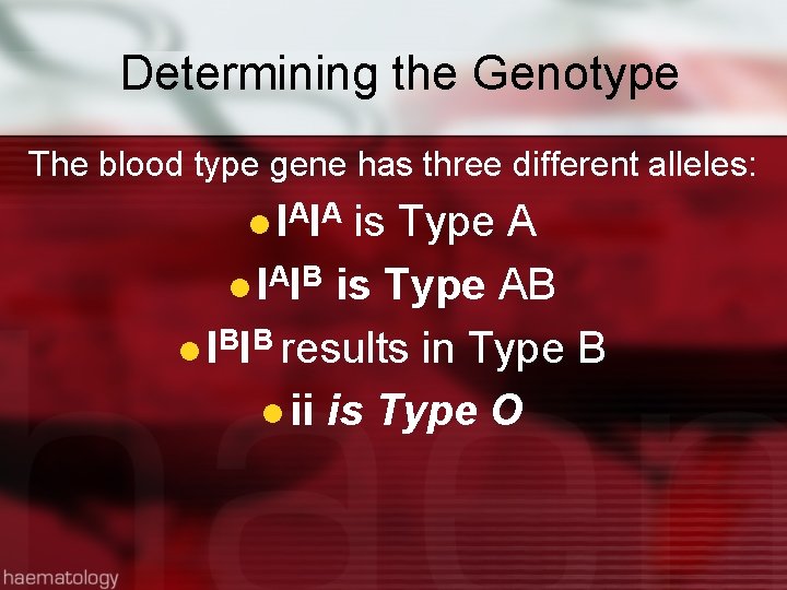 Determining the Genotype The blood type gene has three different alleles: l I AI