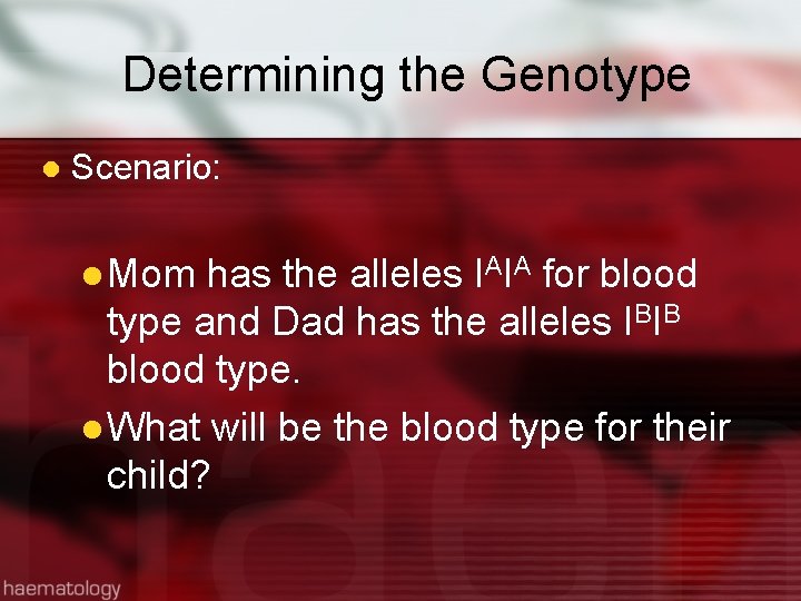 Determining the Genotype l Scenario: l Mom has the alleles IAIA for blood type