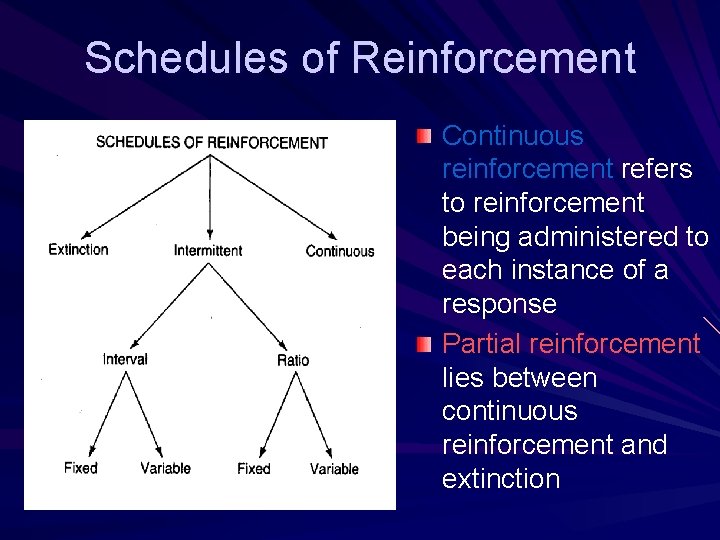 Schedules of Reinforcement Continuous reinforcement refers to reinforcement being administered to each instance of