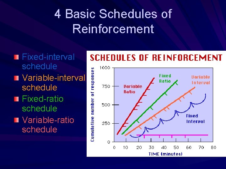 4 Basic Schedules of Reinforcement Fixed-interval schedule Variable-interval schedule Fixed-ratio schedule Variable-ratio schedule 