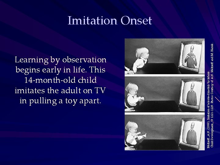 Learning by observation begins early in life. This 14 -month-old child imitates the adult Learning by observation begins early in life. This 14 -month-old child imitates the adult