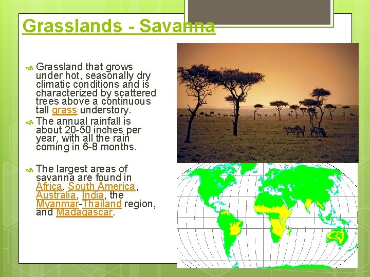 Grasslands - Savanna Grassland that grows under hot, seasonally dry climatic conditions and is