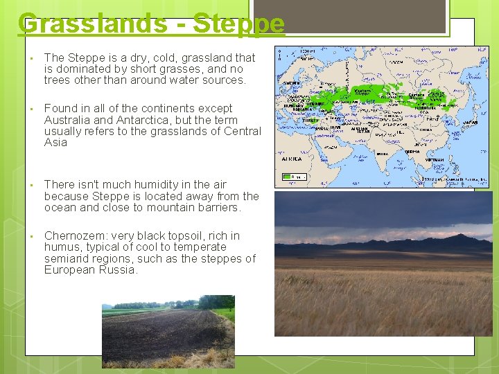 Grasslands - Steppe • The Steppe is a dry, cold, grassland that is dominated