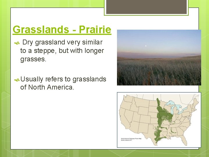 Grasslands - Prairie Dry grassland very similar to a steppe, but with longer grasses.