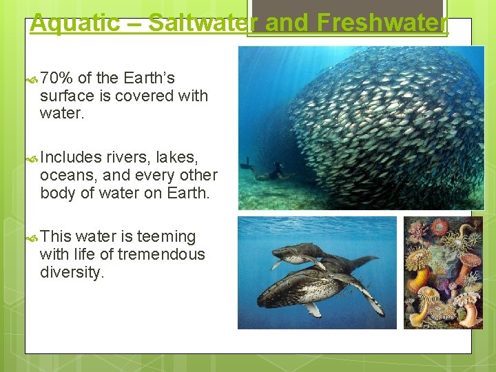 Aquatic – Saltwater and Freshwater 70% of the Earth’s surface is covered with water.