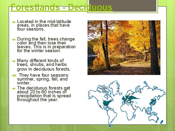 Forestlands - Deciduous Located in the mid-latitude areas, in places that have four seasons.