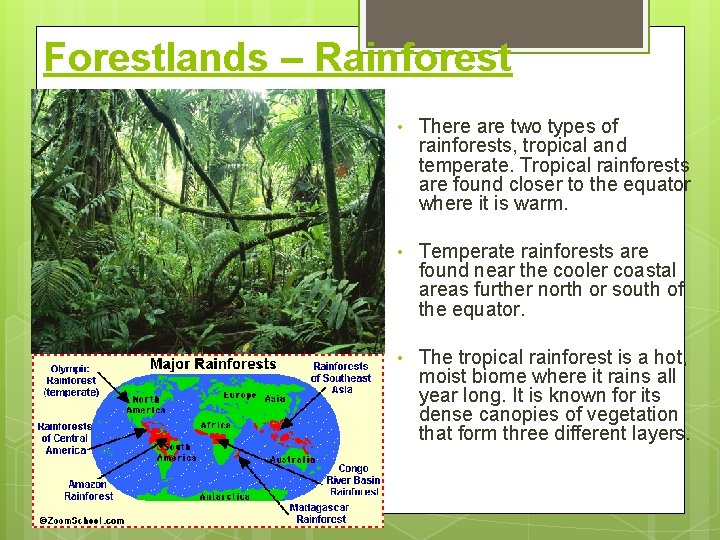 Forestlands – Rainforest • There are two types of rainforests, tropical and temperate. Tropical