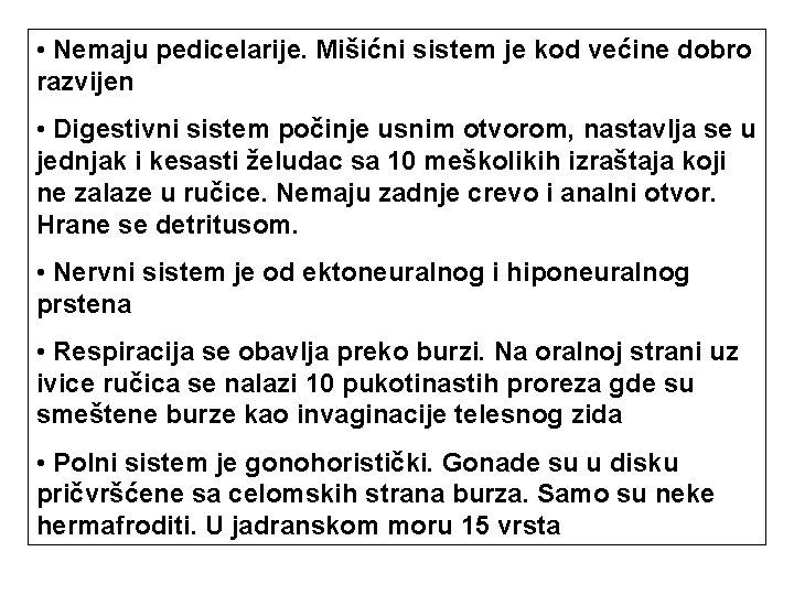 • Nemaju pedicelarije. Mišićni sistem je kod većine dobro razvijen • Digestivni sistem