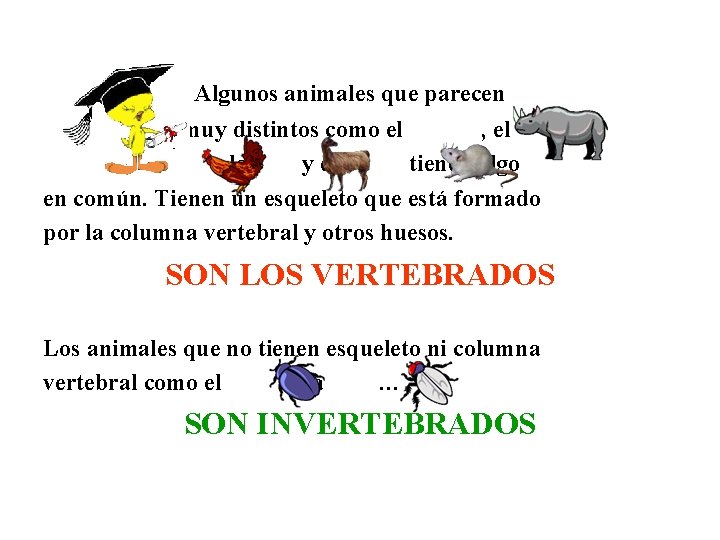  Algunos animales que parecen muy distintos como el , la y el tienen