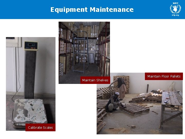 Equipment Maintenance Maintain Floor Pallets Maintain Shelves Calibrate Scales 