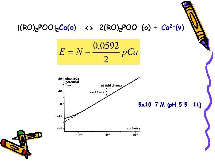  (RO)2 POO 2 Ca(o) 2(RO)2 POO-(o) + Ca 2+(v) 5 x 10 -7