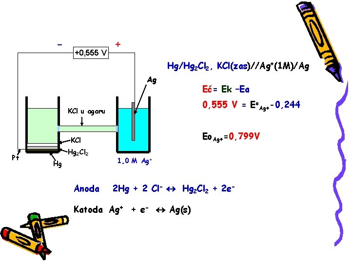 - +0, 555 V + Hg/Hg 2 Cl 2, KCl(zas)//Ag+(1 M)/Ag Ag 0, 555