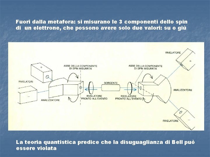 Fuori dalla metafora: si misurano le 3 componenti dello spin di un elettrone, che