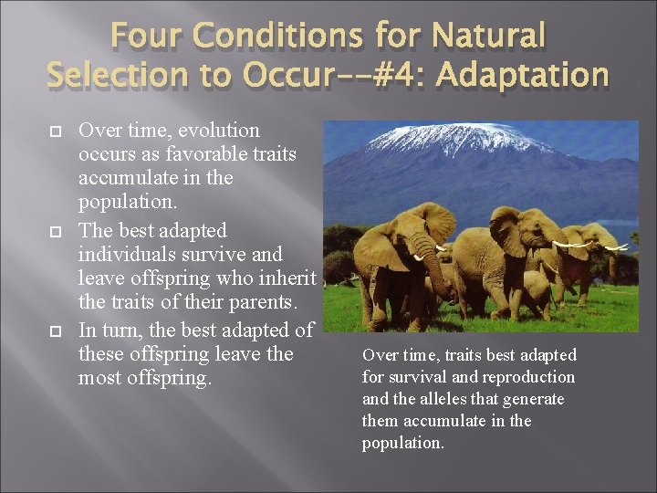 Four Conditions for Natural Selection to Occur--#4: Adaptation Over time, evolution occurs as favorable