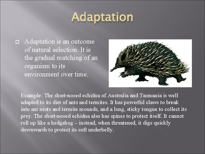 Adaptation is an outcome of natural selection. It is the gradual matching of an