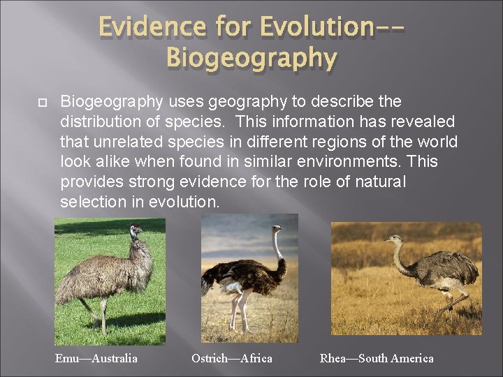 Evidence for Evolution-Biogeography uses geography to describe the distribution of species. This information has