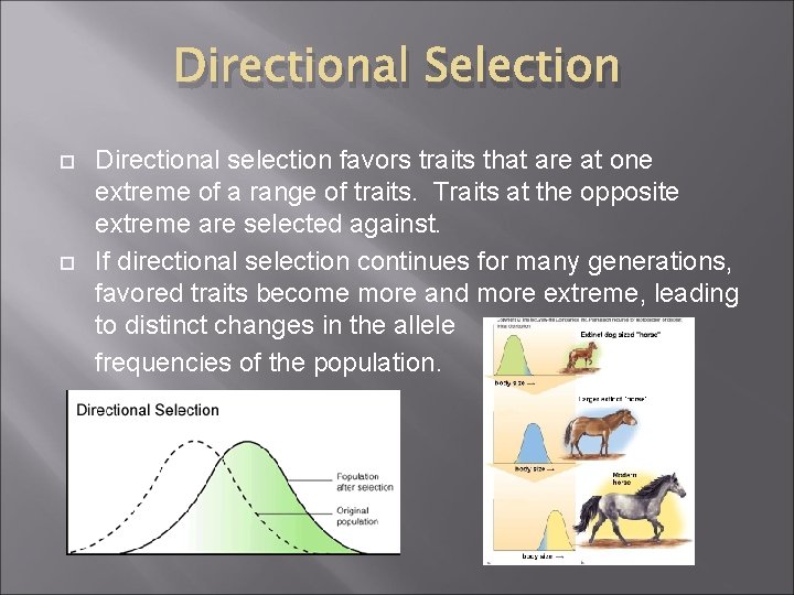 Directional Selection Directional selection favors traits that are at one extreme of a range