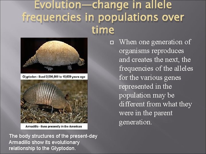 Evolution—change in allele frequencies in populations over time The body structures of the present-day