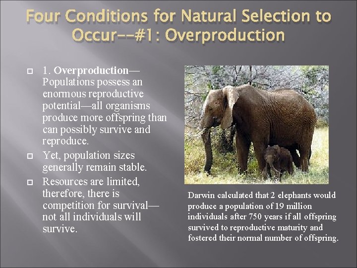 Four Conditions for Natural Selection to Occur--#1: Overproduction 1. Overproduction— Populations possess an enormous
