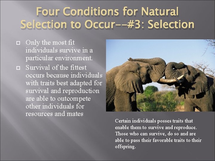 Four Conditions for Natural Selection to Occur--#3: Selection Only the most fit individuals survive