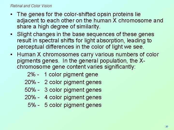 Retinal and Color Vision • The genes for the color-shifted opsin proteins lie adjacent