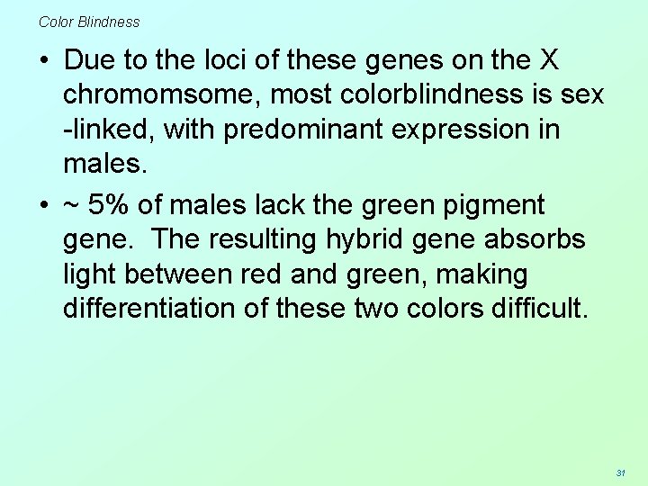 Color Blindness • Due to the loci of these genes on the X chromomsome,