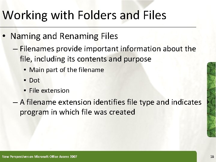 Working with Folders and Files • Naming and Renaming Files – Filenames provide important