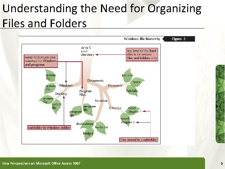 Understanding the Need for Organizing Files and Folders New Perspectives on Microsoft Office Access