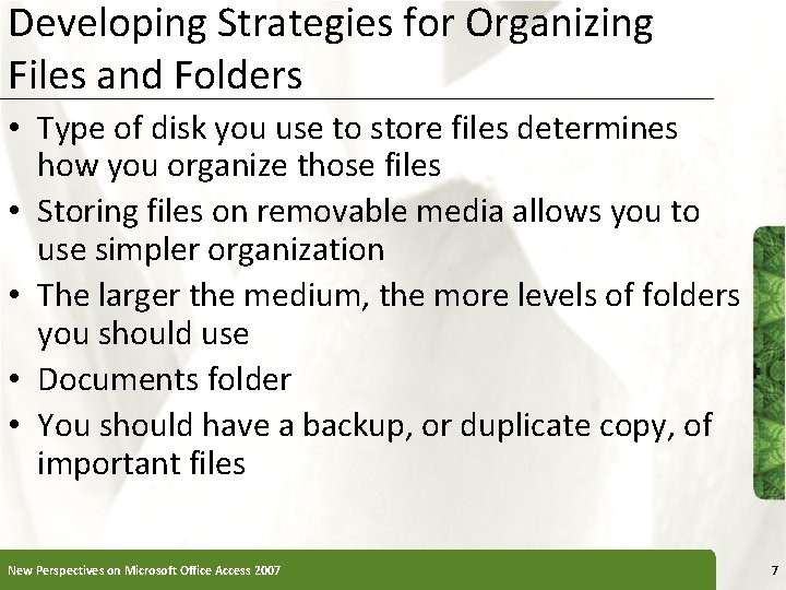 Developing Strategies for Organizing Files and Folders • Type of disk you use to